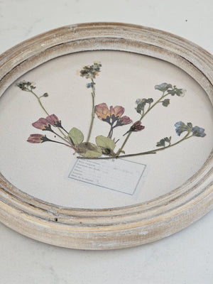 Add a touch of nostalgia to your home with our Pressed Flower Wall Art. Each piece is unique with dried, pressed flowers and a round whitewashed wood frame. Transform your space into a sweet cottage oasis with the timeless art of pressed flowers. No two are alike. Includes sawtooth hanger on the back for easy wall display.&nbsp; 7.5" diam