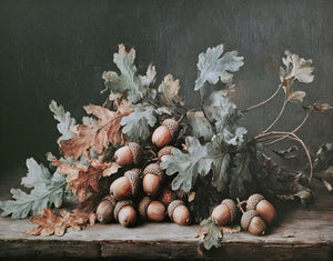 Acorn Still Life Art Print