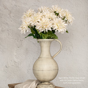 Cream Dahlia Stem
