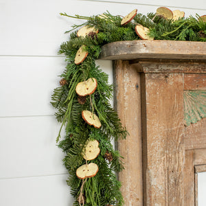 This old-fashioned garland features faux apple slices for a cozy, down-to-earth touch. Simple and nostalgic, this garland will bring years of enjoyment as you decorate your tree or mantle. The Apple Slice Garland is 60"L with 17 faux apple slices tied with twine. Each apple slice features a real to life look and feel and is 2.25" diam.