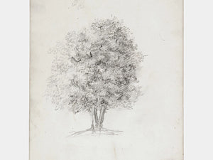 This Apple Tree Sketch Print has a delicate and breezy feel, and will add an artistic touch to any room. Printed on high quality museum stock with archival ink. Image size: 8"x10". Print Only. No frame included.  Made in the USA