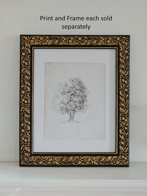 This Apple Tree Sketch Print has a delicate and breezy feel, and will add an artistic touch to any room. Printed on high quality museum stock with archival ink. Image size: 8"x10". Print Only. No frame included.  Made in the USA