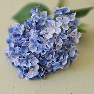 The Blue Hydrangea Bush Pick showcases exquisite blue fabric petals paired with fresh green leaves, creating a refined summer accent. Its flexible plastic stem supports bright hydrangea blooms subtly touched with soft white hues, adding depth and elegance. Measuring 17” long by 10” wide and 5” deep, this floral pick brings a sophisticated touch to any arrangement or decor.