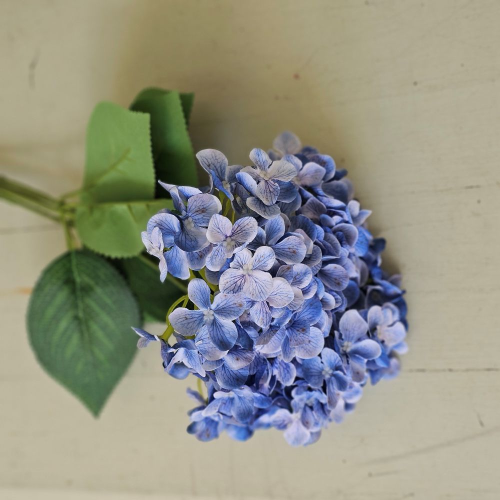 The Blue Hydrangea Bush Pick showcases exquisite blue fabric petals paired with fresh green leaves, creating a refined summer accent. Its flexible plastic stem supports bright hydrangea blooms subtly touched with soft white hues, adding depth and elegance. Measuring 17” long by 10” wide and 5” deep, this floral pick brings a sophisticated touch to any arrangement or decor.