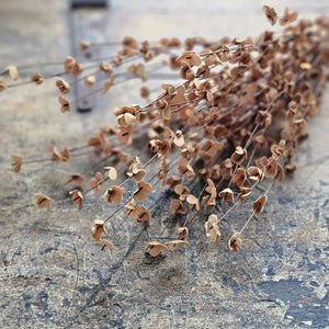 Our airy Brown Branch and Tea Stained Blossom Bush adds warm color and interest to your displays all year round. The wispy branch and delicate tea stained fabric blossoms lend easy country cottage charm. Display alone for a simple country look or arranged into a bouquet.