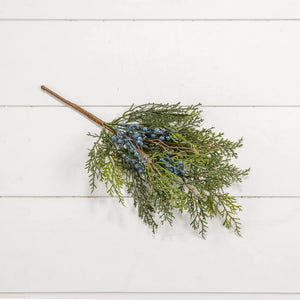 Our Cedar with Blue Berries Spray Pick is a serene mix of cedar and waxy-blue juniper berries. This faux winter greenery makes a great filler for baskets, bowls and pots. The Cedar with Blue Berries Spray Pick adds a down-to-earth feel to your home. Perfect for adding cabin style or a rustic twist, this realistic greenery provides a charming decorative accent all winter long.