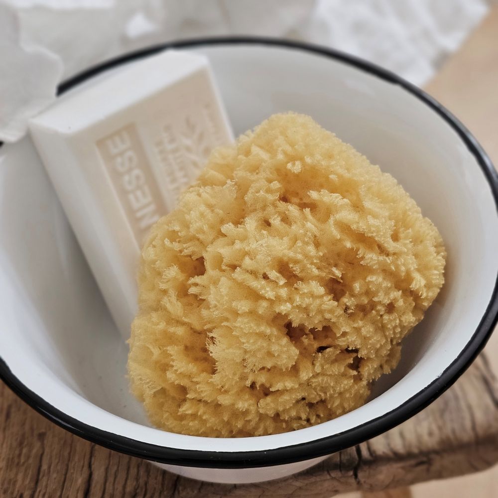 The Natural Sea Sponge is ideal for cleaning the body. Sourced directly sourced from the sea, this is nature's loofah and not a synthetic version.