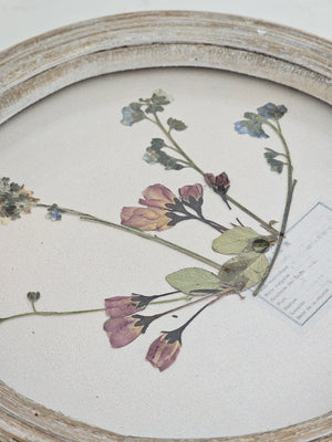 Add a touch of nostalgia to your home with our Pressed Flower Wall Art. Each piece is unique with dried, pressed flowers and a round whitewashed wood frame. Transform your space into a sweet cottage oasis with the timeless art of pressed flowers. No two are alike. Includes sawtooth hanger on the back for easy wall display.&nbsp; 7.5" diam