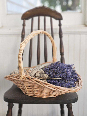 Our French Lavender Bouquet is a nod to the timeless elegance of the French countryside. This Super Blue Lavender is cultivated by generations of passionate French farmers. Each 80-gram bunch stands as a testament to tradition and quality. Wrapped in newsprint tissue paper that resonates with nostalgia, this lavender is a journey back in time. Hand-wrapped and graced with a natural raffia bow, it's more than just lavender; it's a piece of history. Each bundle is approximately 14" long. Made in France.