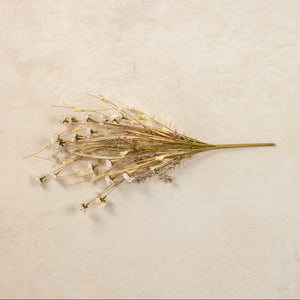 Farmhouse cottage style is made easy with our Faded Cream Wildflower and Grass Spray. This faux flower spray features a lush array of sweet daisy-like blossoms and wispy grasses. The stem is long, slender, and flexible and is easily shaped for a desired look. It can be displayed alone for a simple country look or arranged into a bouquet. It easily fits into baskets, buckets, and milk cans and more.