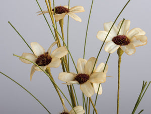 Farmhouse cottage style is made easy with our Faded Meadow Flower Spray. This faux flower spray features tea stained creamy beige fabric petals with dark burgundy pistil centers for a realistic touch. Faded tan-green leaves on a green stem complete this floral. The stem is long, slender, and flexible and is easily shaped for a desired look. 