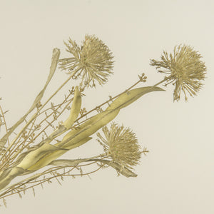 Farmhouse cottage style is made easy with our Faded Allium Blossom Spray. This faux flower spray features three leek style blossoms with faded fabric leaves. The stem is long, slender, and flexible and is easily shaped for a desired look. It can be displayed alone for a simple country look or arranged into a bouquet. It easily fits into baskets, buckets, and milk cans and more. Can be trimmed at stem if needed. Includes one spray. 20.5”H