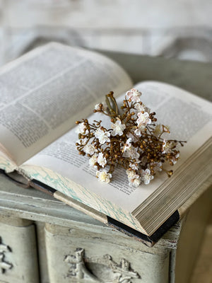 The Faded White and Berries Bundle features small, creamy white blooms with hints of pink and beige that are accented with berries to create the sweetest collection that brings a massive load of charms to displays. Each bundle contains seven stems. 7"H