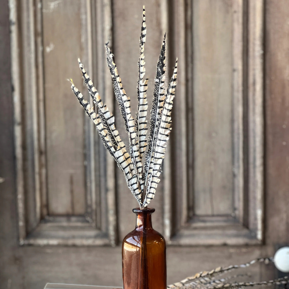 Striking bundles of faux pheasant-like feathers add a fantastic element of height and texture.  The faux feather bundles look beautiful displayed as are, but could easily be incorporated with other florals and decor.  Each bundle contains six feathers. Bottle not included. 20"H
