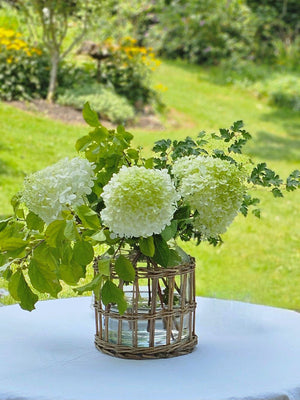 Glass Jar with Willow Basket Sleeve