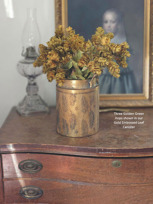 Let fall's warm vibrancy fill your farmhouse with this Golden Green Hops Bush. This faux floral pick is lush and packed with aged hops blossoms, making it an easy choice to fill any basket or vase. It features golden, green and brownish hues for an authentic faded appearance. The wire stems make it easy to shape to fit any vase or basket. Each pick is approximately 14”H.