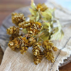 Let fall's warm vibrancy fill your farmhouse with this Golden Green Hops Bush. This faux floral pick is lush and packed with aged hops blossoms, making it an easy choice to fill any basket or vase. It features golden, green and brownish hues for an authentic faded appearance. The wire stems make it easy to shape to fit any vase or basket. Each pick is approximately 14”H.