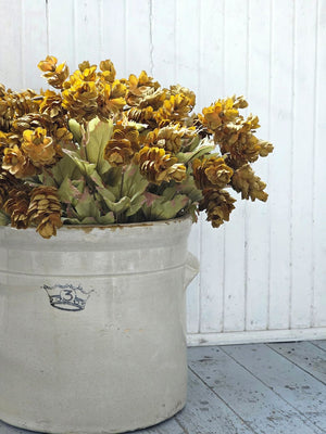 Let fall's warm vibrancy fill your farmhouse with this Golden Green Hops Bush. This faux floral pick is lush and packed with aged hops blossoms, making it an easy choice to fill any basket or vase. It features golden, green and brownish hues for an authentic faded appearance. The wire stems make it easy to shape to fit any vase or basket. Each pick is approximately 14”H.