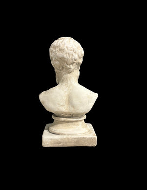 Plaster bust of a classical Greek figure 