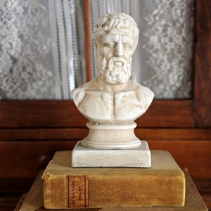 Elevate your interior with this distinguished plaster bust, capturing the classical elegance of Hellenic style sculpture. An ideal accent for discerning collectors, this refined piece commands attention on mantels, shelves, and display surfaces, infusing your space with the enduring sophistication of ancient artistic tradition.