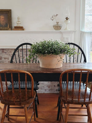 Greek Man Bust Statue