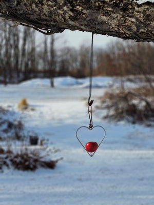 Heart-shaped Apple Bird Feeder, Bird Feeder, Apples for Birds, Valentine's Day Gift