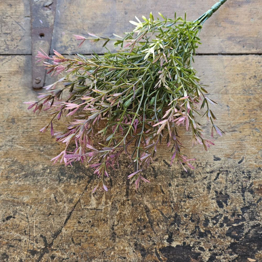 The Lavender Asparagus Flower Bush makes an excellent accent for large bouquets. Its prickly appearance with lavender tips adds texture and an airy feel to this faux bush. Style it all on its own or create a stunning bouquet with a mixture of flowers. Measures 13" high.