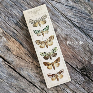 These stylish long wood matches, with a moth design inspired by old illustrations, are the perfect complement to any space. Modern, chic, with a vintage graphic design, they are perfect for any room. The match striker is side of the box for easy lighting. Safety matches, 50 sticks per cardboard box. 