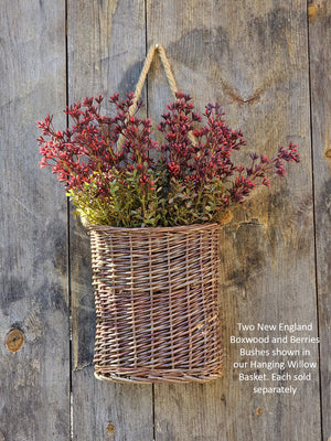 Willow Hanging Basket with New England Boxwood and Berries Bushes
