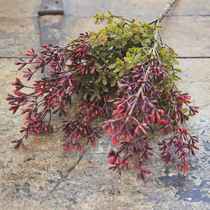 New England Boxwood and Berries Bush
