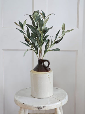 Olive Branch Bundle