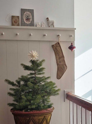 Small Christmas tree in a pot with paper snowflake.