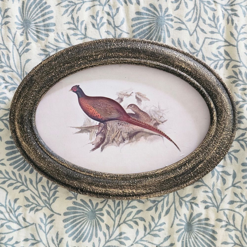 The Pheasant &nbsp;Print with Golden Black Frame is a small framed art piece with tons of vintage charm. The antique inspired pheasant print sits within an oval black frame with metallic gold antique wash for a rustic style. Our Pheasant framed art is easy to display either using the easel on the back to free-stand or hang via the attached sawtooth hanger.
