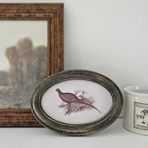 The Pheasant &nbsp;Print with Golden Black Frame is a small framed art piece with tons of vintage charm. The antique inspired pheasant print sits within an oval black frame with metallic gold antique wash for a rustic style. Our Pheasant framed art is easy to display either using the easel on the back to free-stand or hang via the attached sawtooth hanger.