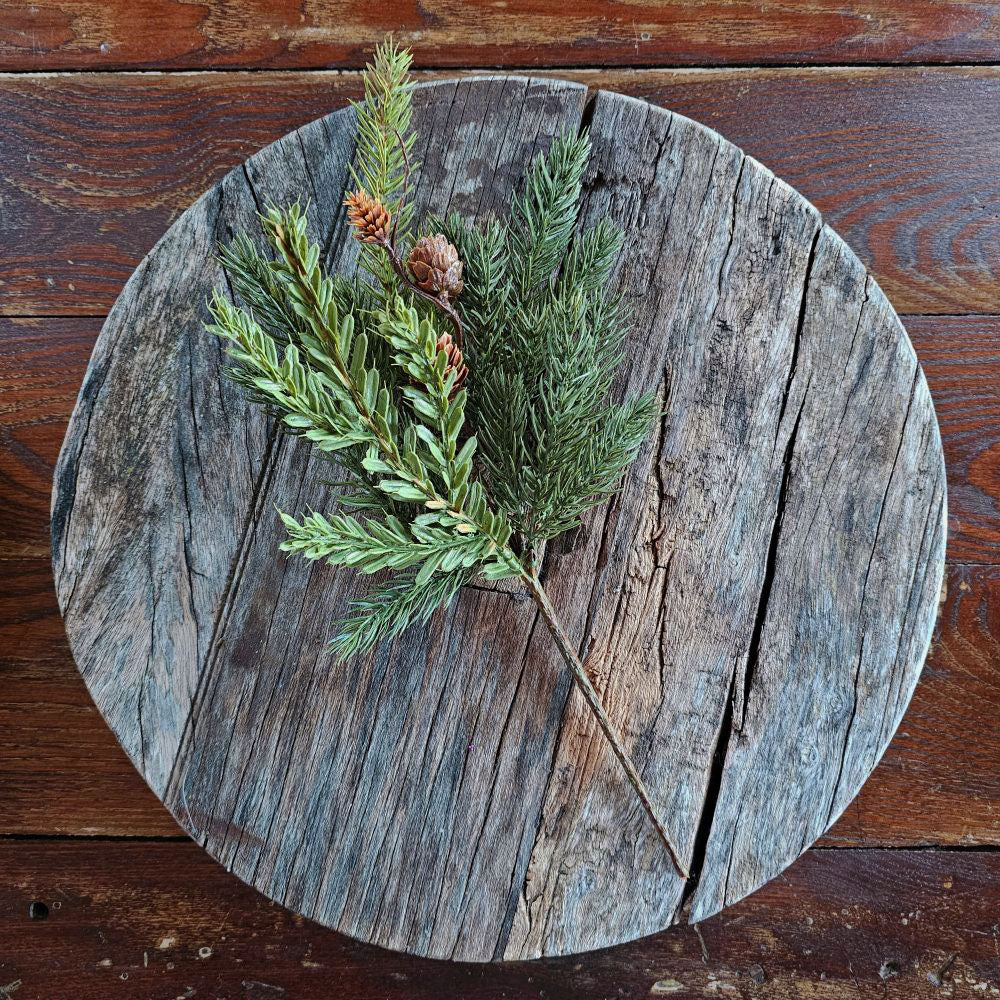 Our Pine Greens with Hemlock Sprig Pick makes a great filler for baskets and holiday arrangements. The faux pine greens with pine cones and a sprig of hemlock brings fresh, earthy greenery to your farmhouse decor. Perfect for adding cabin style or a rustic twist, this realistic greenery provides a charming decorative accent all year long. Includes one pick. 