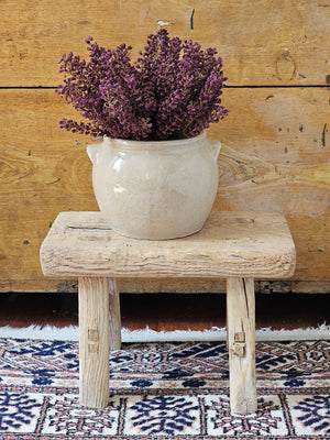 Add rich, moody style to your home with our Plum Astilbe Bush Pick. Sweet clusters of plum colored blooms nestle together for an abundant aubergine bouquet. The bush stands 10.5 inches tall and the deep eggplant color adds old-world beauty to any season. These faux florals will inspire lots of great ideas for any home stylist looking for natural accents without a lot of maintenance. Crock and basket sold separately (both shown with three bush picks). 10.5” H