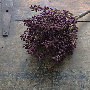 Add rich, moody style to your home with our Plum Astilbe Bush Pick. Sweet clusters of plum colored blooms nestle together for an abundant aubergine bouquet. The bush stands 10.5 inches tall and the deep eggplant color adds old-world beauty to any season. These faux florals will inspire lots of great ideas for any home stylist looking for natural accents without a lot of maintenance. Crock and basket sold separately (both shown with three bush picks). 10.5” H