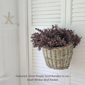 Purple Seed Bundle