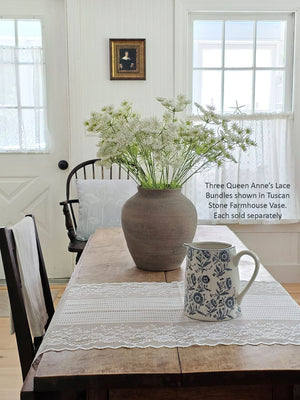 Queen Anne's Lace Flower Bundle