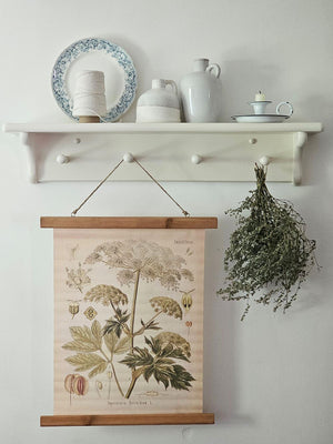 Reminiscent of vintage school charts or scrolls, this canvas banner features a botanical illustration of Queen Anne's Lace, also known as Cow Parsley. The print has a time-worn, aged appearance, inspired by antique shop finds. The scroll banner features wooden slats on the top and bottom, just like old classroom educational charts. Add old-world charm to your farmhouse with this unique wall decor. 