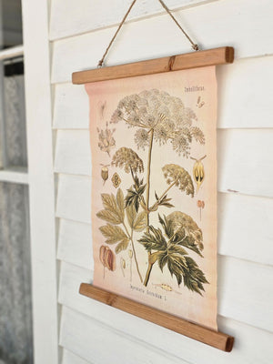Reminiscent of vintage school charts or scrolls, this canvas banner features a botanical illustration of Queen Anne's Lace, also known as Cow Parsley. The print has a time-worn, aged appearance, inspired by antique shop finds. The scroll banner features wooden slats on the top and bottom, just like old classroom educational charts. Add old-world charm to your farmhouse with this unique wall decor. 