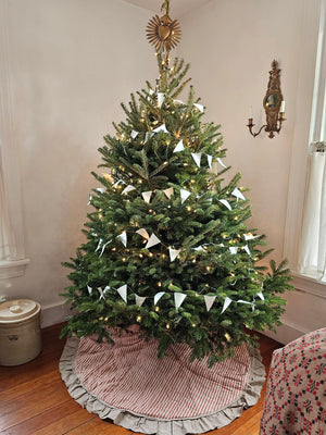 The Red Ticking Stripe Christmas Tree Skirt lends old-timey vintage charm to your holiday home. This 48" regular tree collar has a 100% cotton shell featuring a textured chambray striped pattern and ruffled border for that old-fashioned feel. The reverse side is a rustic farmhouse oatmeal, which gives it a flax linen feel. Wood buttons finish off this beautiful tree skirt.