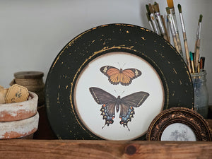 <span style="color: #8e4c4c;"></span>Celebrate nature with these Round Vintage Butterfly Prints. Inspired by flea market finds, these reproductions, with their distressed black round frames are sure to add sweet charming style to any room. Set of three, 10.75" Diam