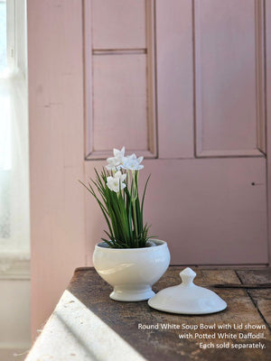 Round White Soup Bowl with Lid
