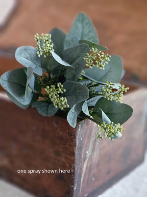 The Seeded Silver Dollar Eucalyptus Spray is a mix of dark blue-green faux eucalyptus leaves and seeds that adds rich texture and a moody elegance to any centerpiece. The spray is easily combined with other florals for a stunning centerpiece or displayed on its own. Includes one pick. 15"H