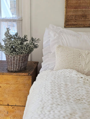 Snow Dusted Pine Bush