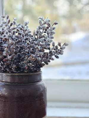 Snowy Winter Seed Pods