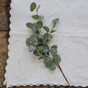 Sparkling Eucalyptus Pick
