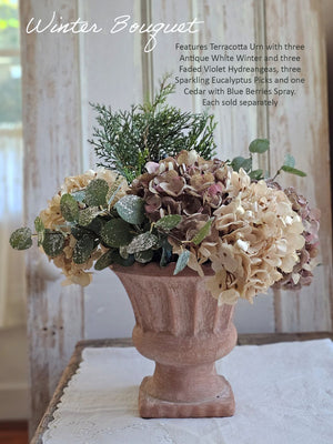 Winter Bouquet with Hydrangeas, Cedar and Eucalyptus in Terracotta Urn