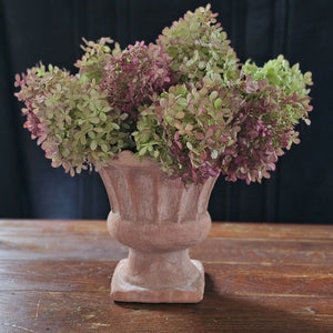 Terracotta Urn with Scalloped Edge